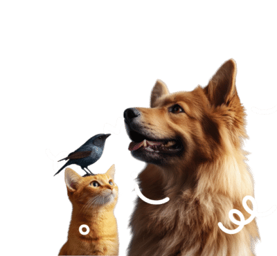 Een bruine hond zit naast een rode kat met een vogel op zijn hoofd.