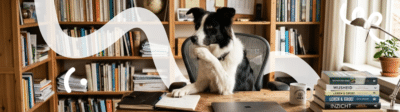 Een zwart met witte Border Collie zit achter een bureau in een bibliotheek