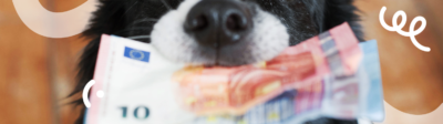Een hond met briefgeld in zijn bek