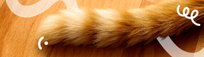 Een kattenstaart die zwiept vertelt iets over de gemoedstoestand van de kat
